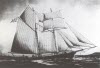 Click here for more ships